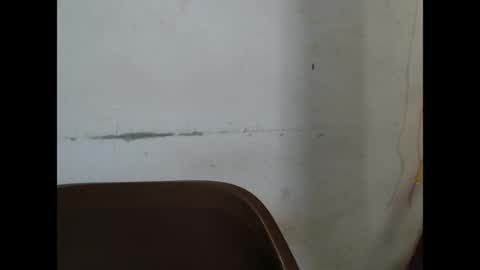 kinkyjuicexx online show from 04.13.26