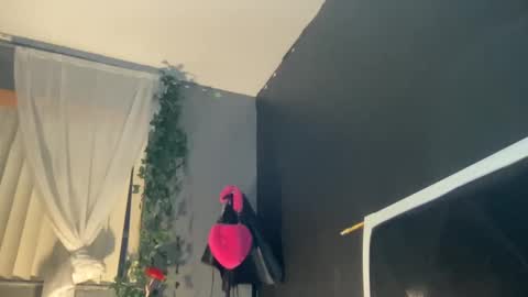 Bunniii online show from 01.02.25