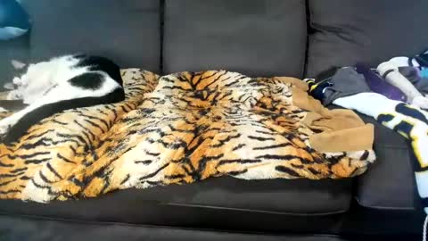 Kinky online show from 02.04.25