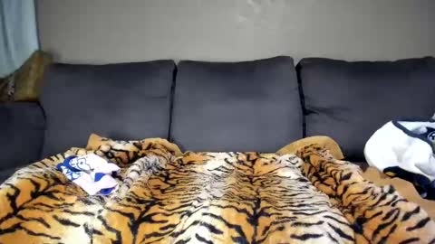 Kinky online show from 02.11.25