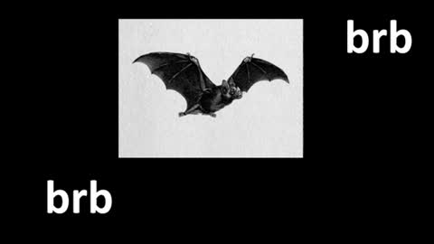 meow online show from 07.19.26