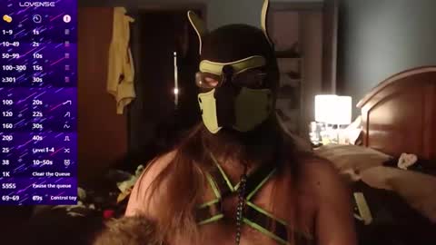 kinkywolf87 online show from 12.02.25