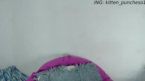kitten_punches01 online show from 09.28.25