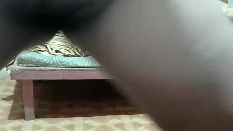 Kitty online show from 03.25.26