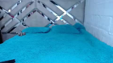 kittyzevee_ online show from 02.08.25