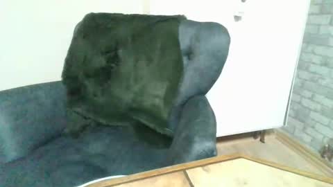 Palo313 online show from 11.03.25