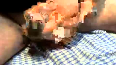 klok8230 online show from 03.27.26