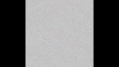 knox_steele online show from 11.30.25