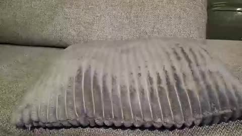 koelie1982 online show from 01.22.25