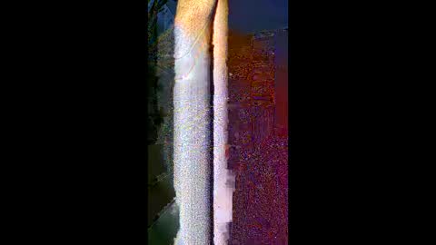 Snapshot of komi235 chatting on 02.24.26 komi235 online show from 02.24.26