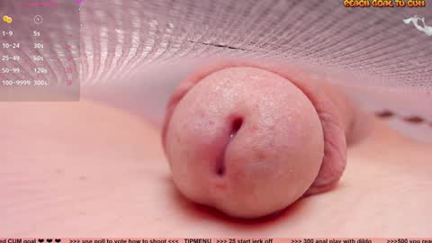 Petra online show from 12.07.24