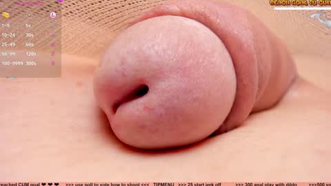 Petra online show from 12.16.24