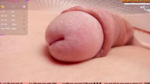 Petra online show from 03.10.25