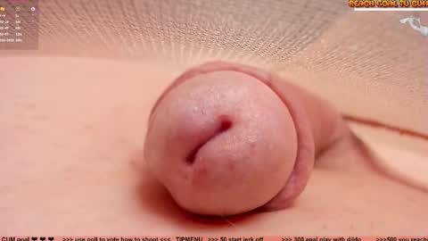 Petra online show from 02.19.26