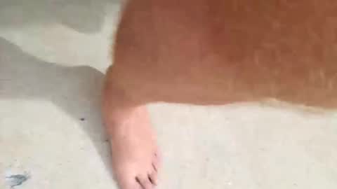 Snapshot of kramit1222 chatting on 09.24.25 kramit1222 online show from 09.24.25