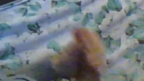 kren565656 online show from 12.10.24