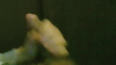 kren565656 online show from 10.20.25