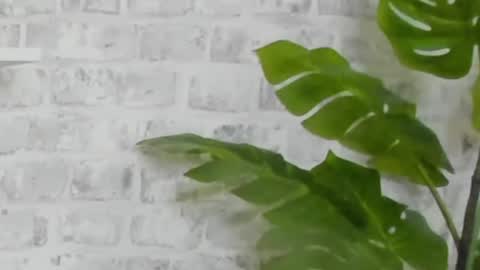 Kristi online show from 12.15.24