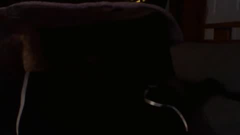 kshies4220 online show from 01.09.26