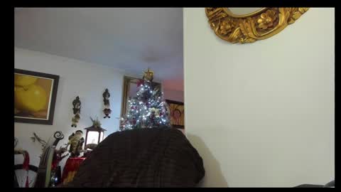 Snapshot of kyhara chatting on 12.23.24 kyhara online show from 12.23.24