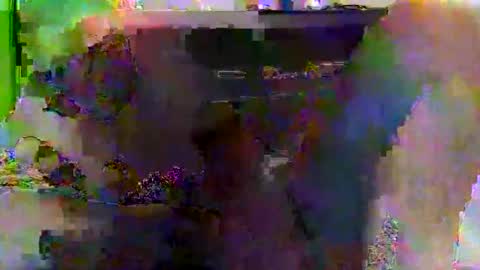 kylevogt2024 online show from 04.14.26