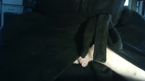 lacharcute online show from 02.07.26