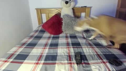 Akyra  online show from 10.25.25