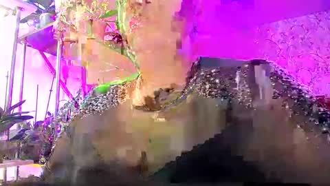 Lady Gloria online show from 10.25.25