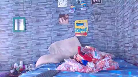 Snapshot of lady_godss chatting on 12.01.25 Lady godss online show from 12.01.25