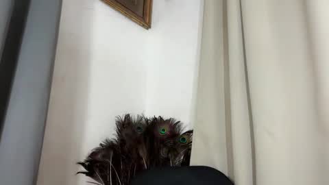 ladylollipop_marls online show from 03.10.26