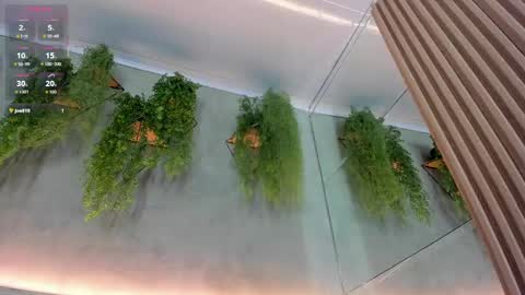 lana_lann online show from 09.24.25