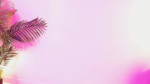 LANA online show from 03.29.26