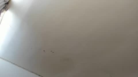 Lara online show from 10.23.25