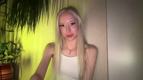 Stella online show from 05.24.26