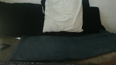 Lariss online show from 02.22.26