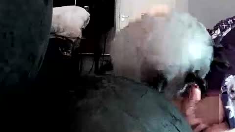 latexchris77 online show from 04.14.26