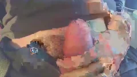 joseph online show from 11.29.25