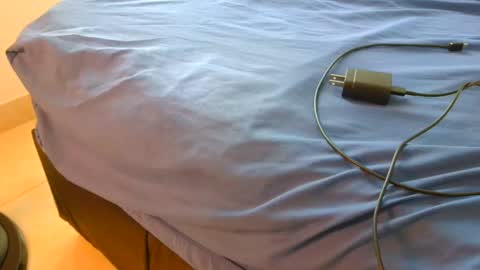 blackBear online show from 11.16.25