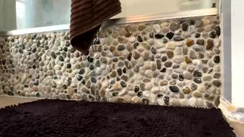 latinlover199518 online show from 04.16.26