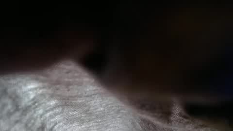 launeeee1 online show from 02.03.26