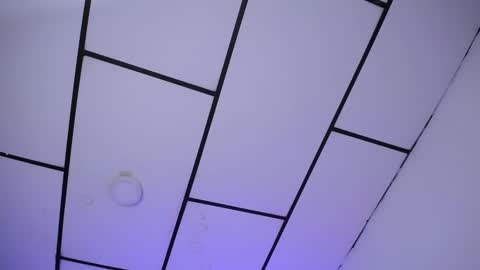 LAURA online show from 12.24.24