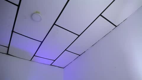 LAURA online show from 01.28.25