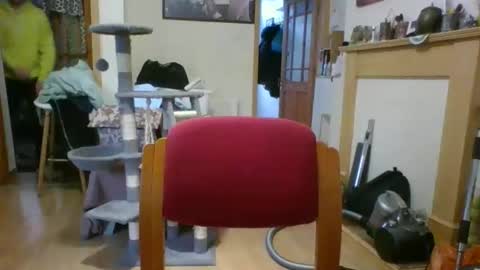 lauratedomm online show from 03.08.26