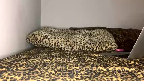 Snapshot of laycee69 chatting on 09.18.25 Laycee Layne online show from 09.18.25