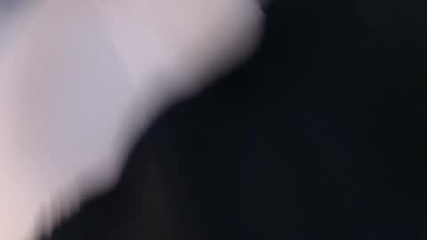 laylacruz online show from 03.02.25