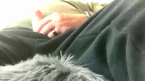 leckfreund53 online show from 03.15.26