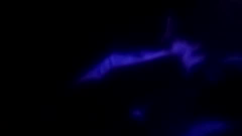 Michael online show from 09.30.25