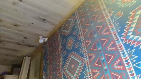 Dliciousman online show from 01.22.25