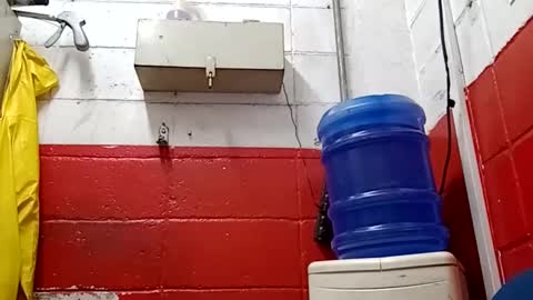 Snapshot of lelefiel chatting on 01.17.25 Pequeno Urso online show from 01.17.25