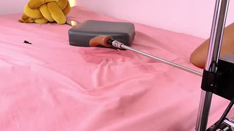 Lenaandwilliam online show from 02.05.26